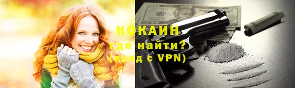 шишки Армянск