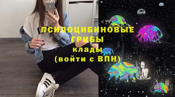 шишки Армянск