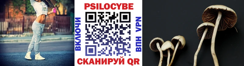 Галлюциногенные грибы Cubensis  Купить где  Ряжск 